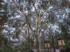 -白马涧龙池景区