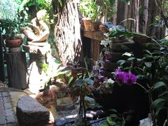 -自然餐厅(Phuket)