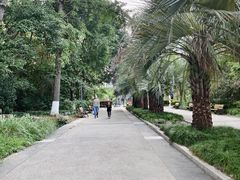 -苏州河梦清园环保主题公园