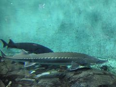 -太平洋海底世界