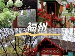 -琴亭湖公园