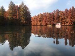 -上海海湾国家森林公园