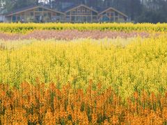 -中国天府农业博览园