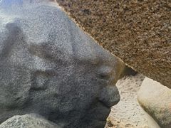 -那琴半岛地质海洋公园