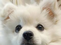 -德克士(柠都广场店)