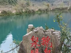 -靖西鹅泉风景区