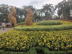 -东芭乐园