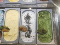 -西树泡芙(秦皇岛茂业天地店)