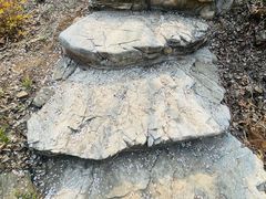 -幽岚山·童话森林