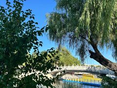 -长春市南湖公园