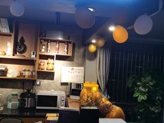 -梵猫·新养生(湛江鼎盛店)