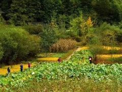 -终南山国家森林公园