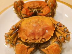 -王宝和酒家(黄浦店)