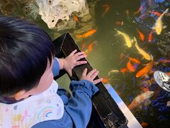 -百年同和·江南点心院(山塘街店)