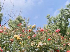 -云幽谷旅游区