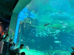 -西海国立公园九十九岛水族馆