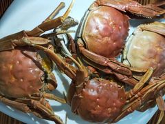 -巢湖名吃·徽府农家菜(半汤店)