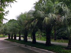 -苏州河梦清园环保主题公园