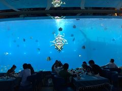 -瑞德姆美人鱼海底演艺主题餐厅(亚龙湾店)