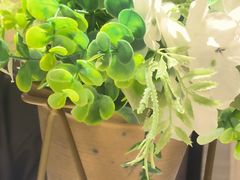 -香蜜轩·粤菜·宴会(世界之窗店)