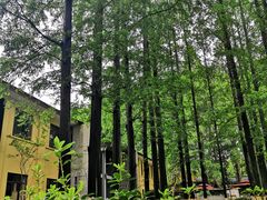 -T80科技文化国际社区-停车场