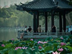 -济南大明湖景区