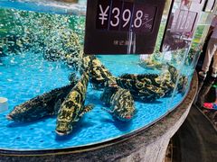 -徐记海鲜(梅溪新天地店)