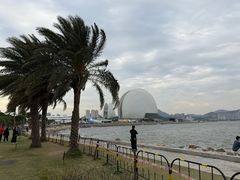 -野狸岛