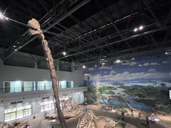 -自贡恐龙博物馆