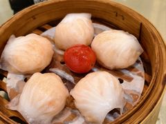 -益健美食大广场(北岭店)