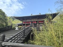 -大唐贡茶院