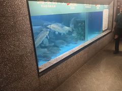 -淘米捞·米汤脆鲩鱼火锅(福田皇岗店)