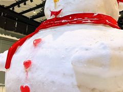 -宁波冰雪大世界(北仑区)