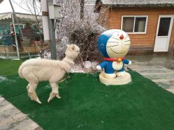 -萌宠亲子动物乐园(槐房万达店)