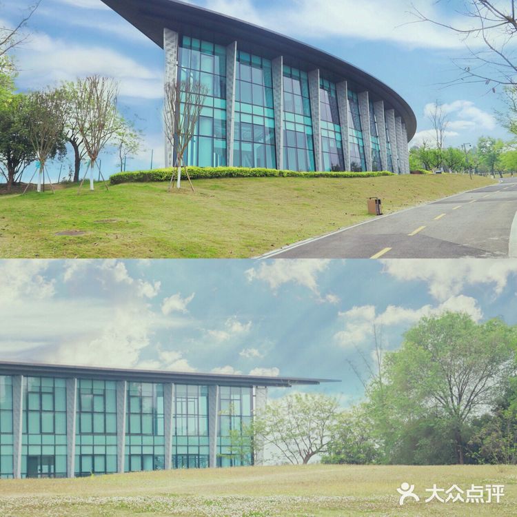 误入成都版森林公园🏠打卡童话小木屋!