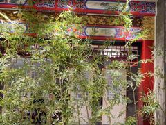 -金狮麟·新豫菜(金码大厦店)