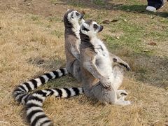 -宁波野生动物园