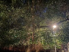 -水濂山森林公园