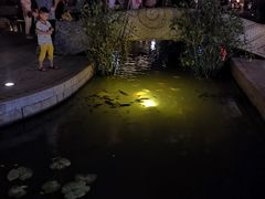 -晋江五店市传统文化旅游区