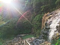 -广州市流溪河国家森林公园