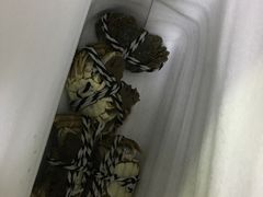 -小陆莲花蟹园农家乐(莲花岛店)