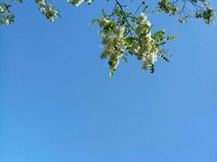 -南戴河国际娱乐中心