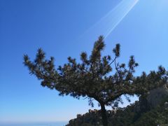 -崂山仰口游览区