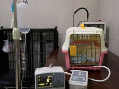 -康旭宠物医院(郑州总院)