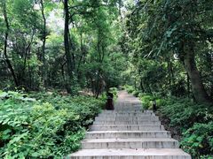 -岳麓山风景名胜区