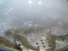 -黄寺蒸汽海鲜(黄寺大街店)