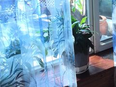 -慢丽江·云南野生菌土鸡锅(西山店)