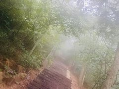 -紫金山山顶公园