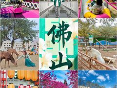 -盈香心动乐园