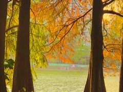 -肥妹烧腊店(洪湖店)